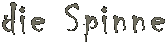 die Spinne
